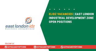 ELIDZ Vacancies